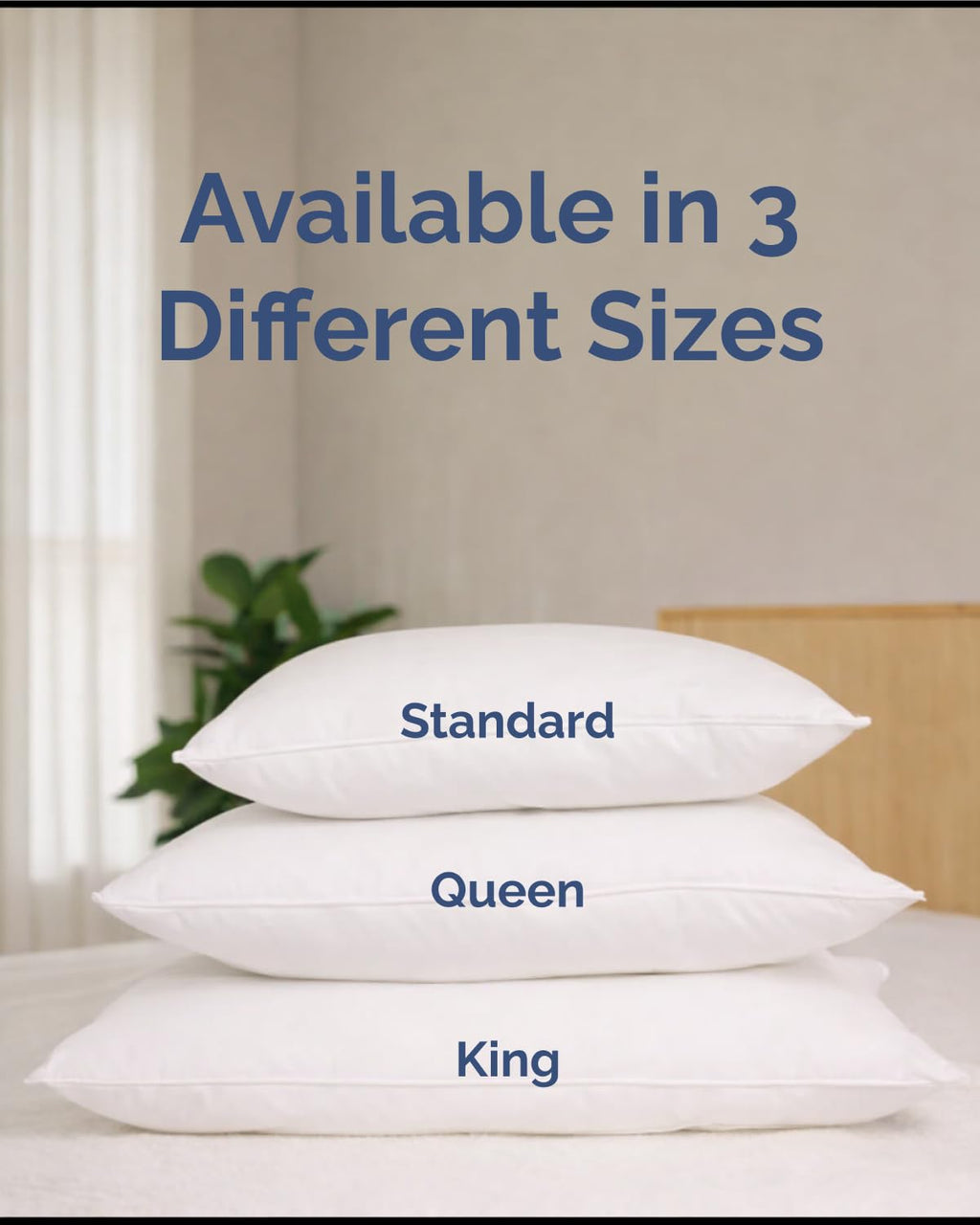 King Pillows Set of 2 A879468