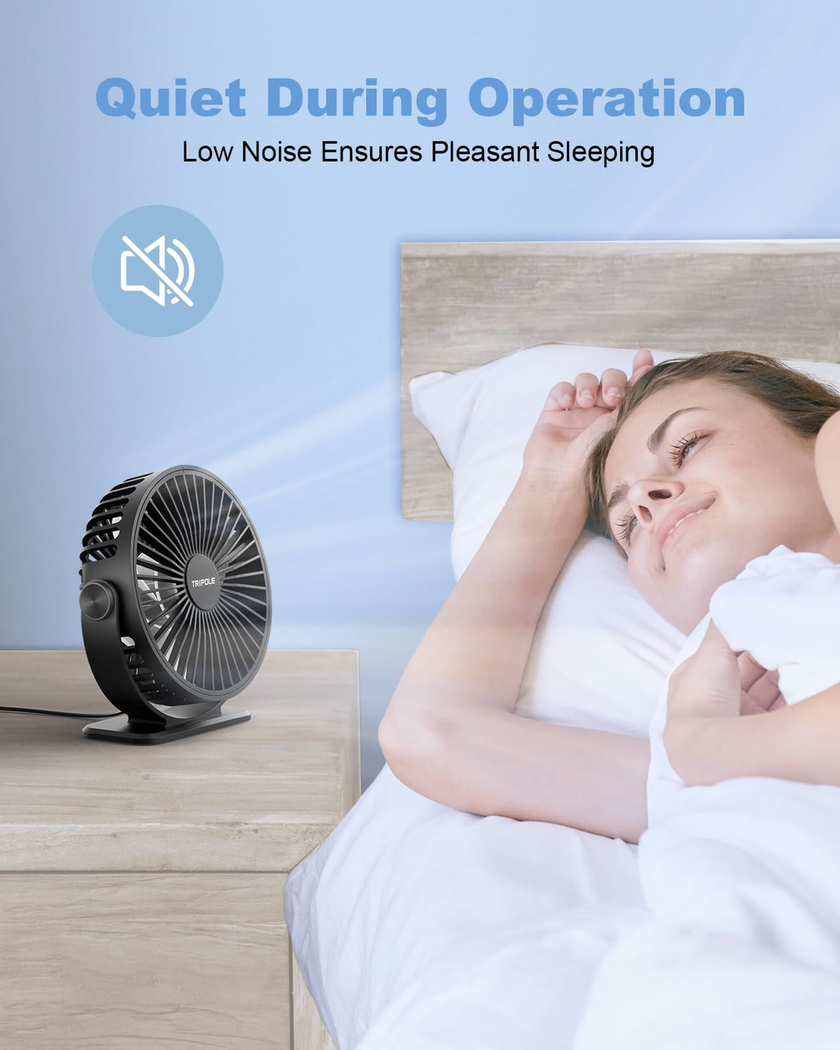 Black 2 Pack USB Powered Mini Desk Fan W31268