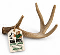 Natural Antler Dog Chew A528381