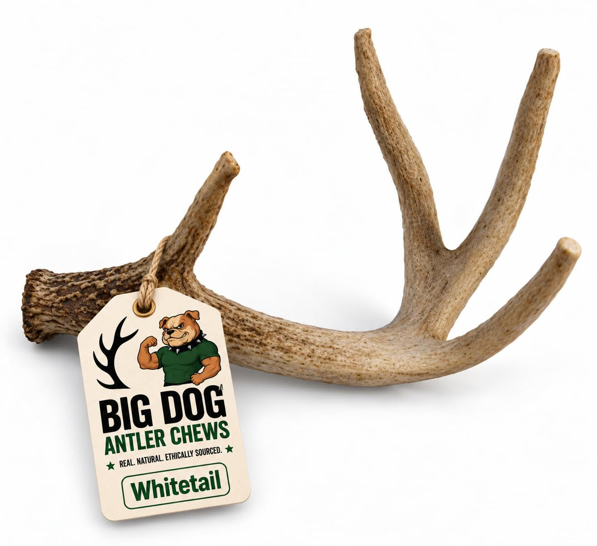 Natural Antler Dog Chew A528381