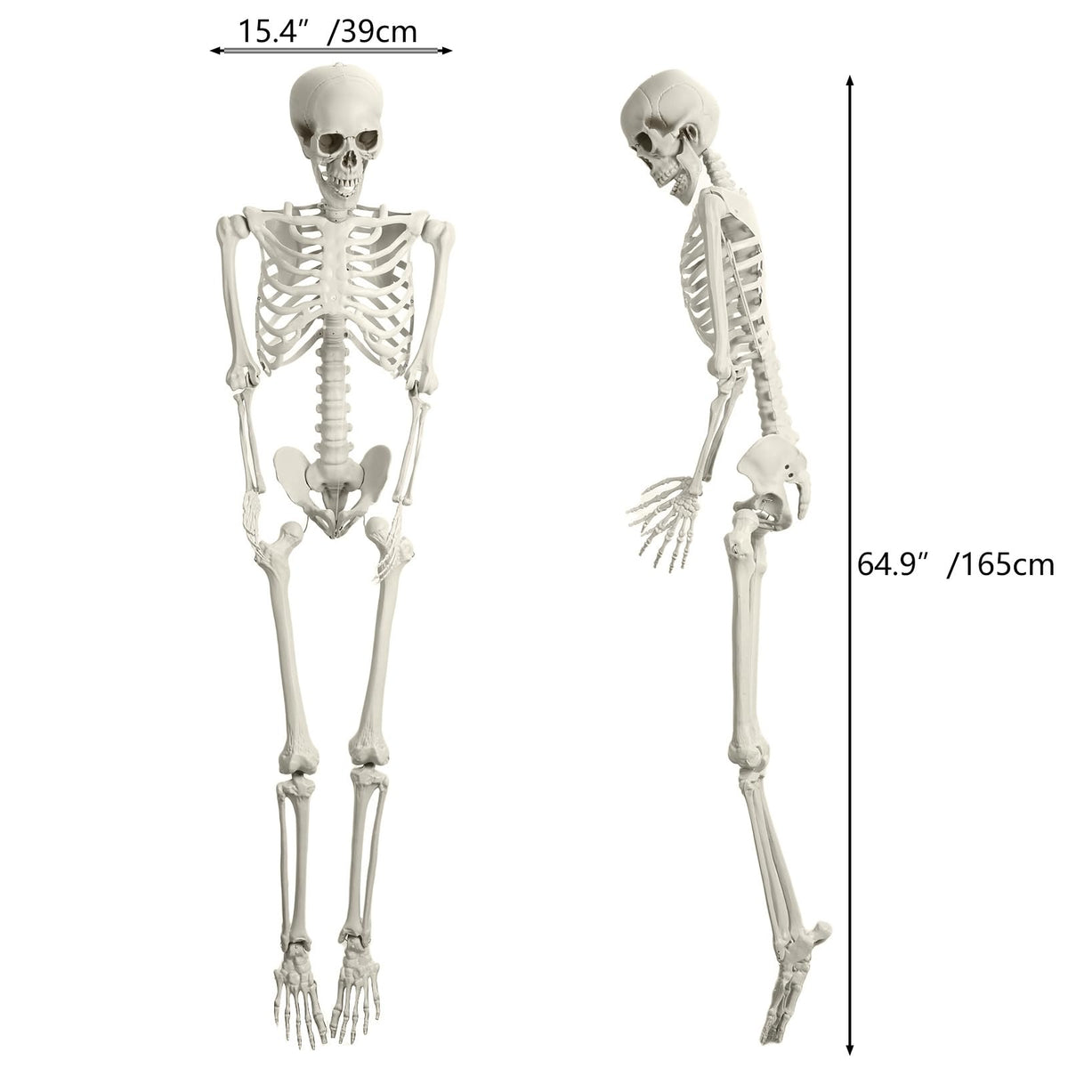 165cm Posable Full Body Skeleton K6099