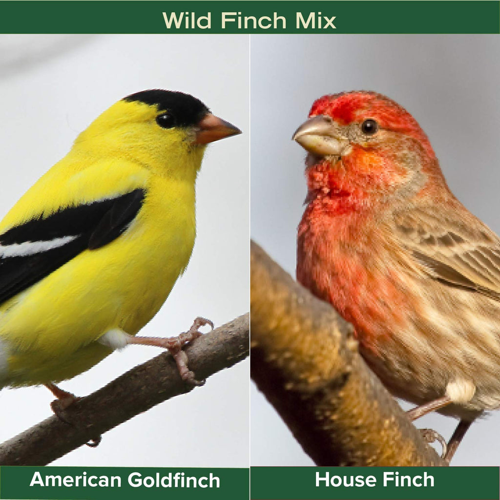 Finch Wild Bird Seed 20lb Bag N242873