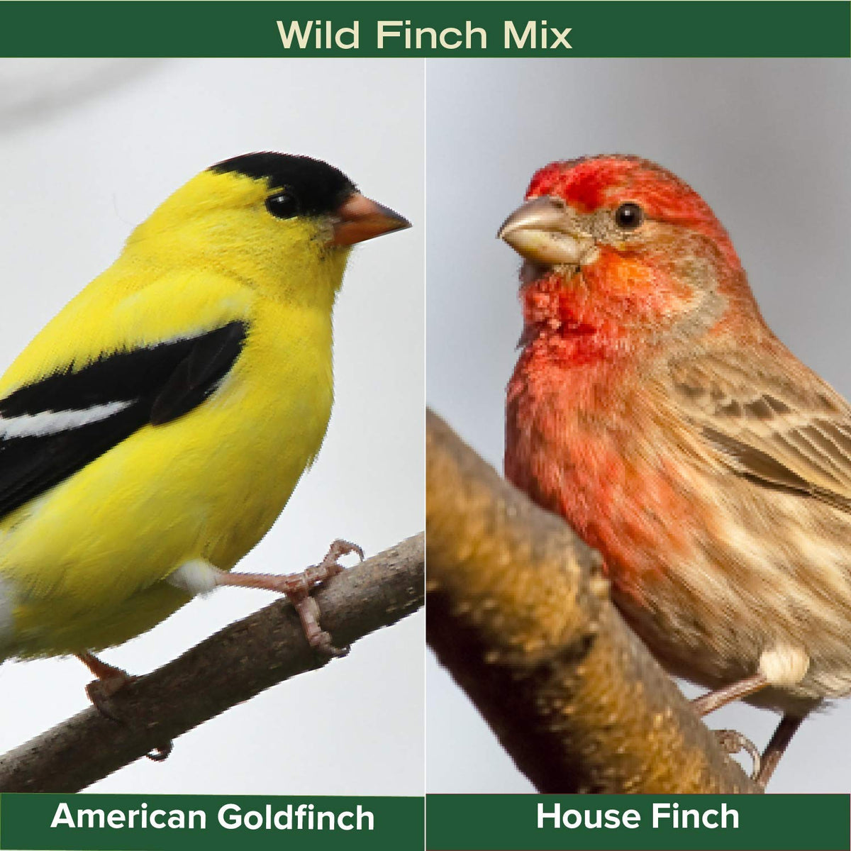 Finch Wild Bird Seed 20lb Bag N242873