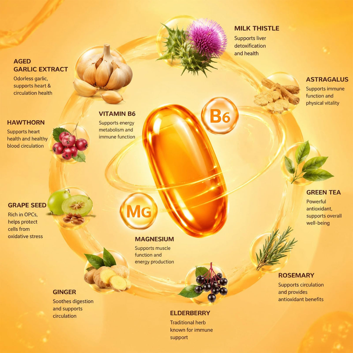 1200mg Odorless Aged Garlic Extract Softgels with CoQ10 E827
