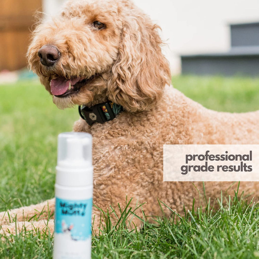 Hypoallergenic Waterless Dog Shampoo 8 fl oz U86663
