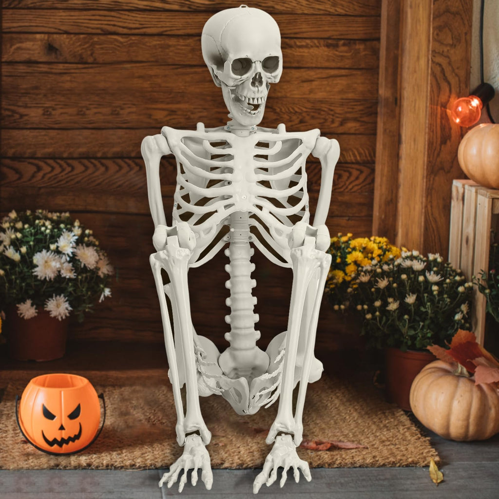 165cm Posable Full Body Skeleton K6099