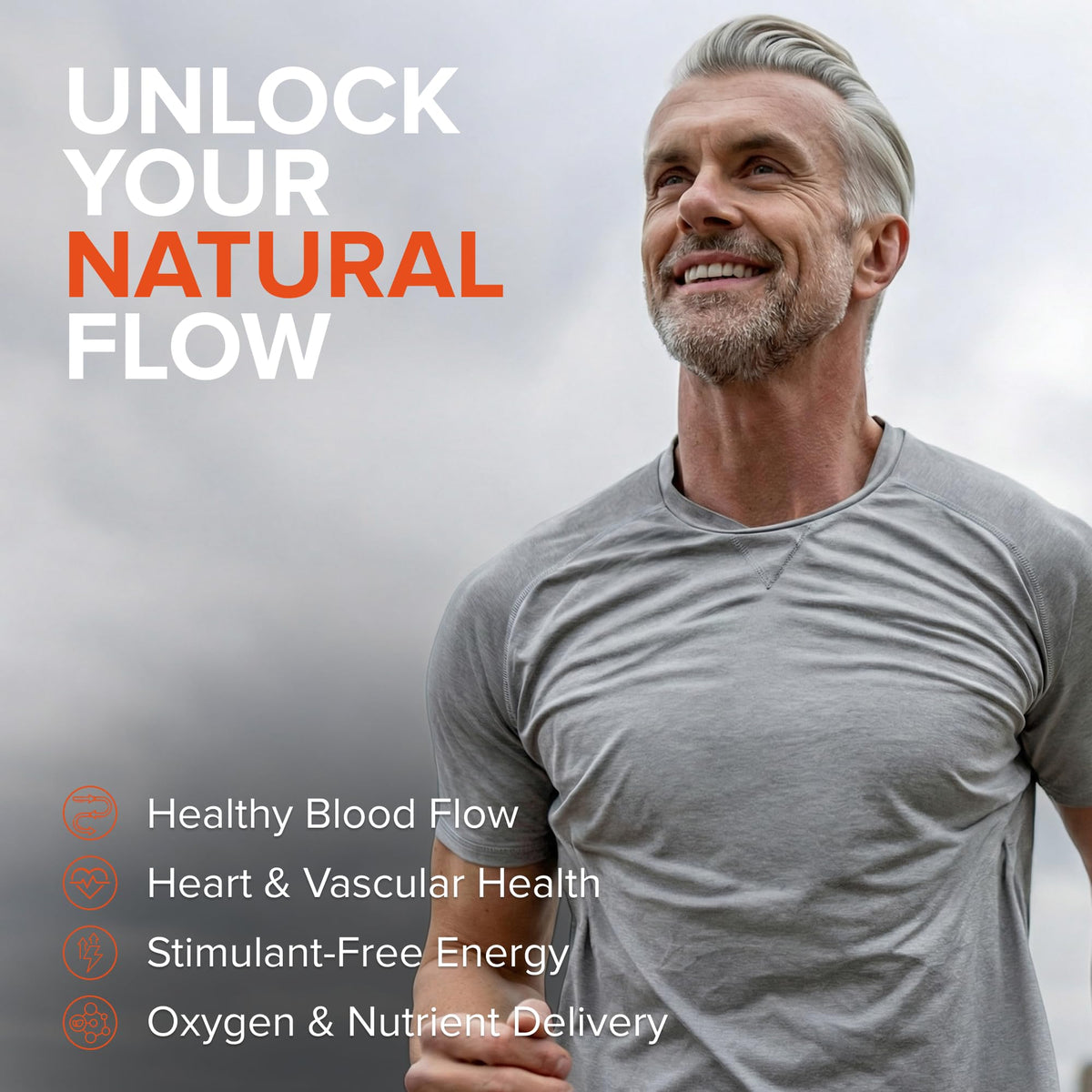 Nitric Oxide Supplement A1676