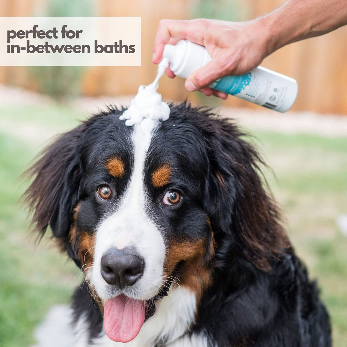 Hypoallergenic Waterless Dog Shampoo 8 fl oz U86663