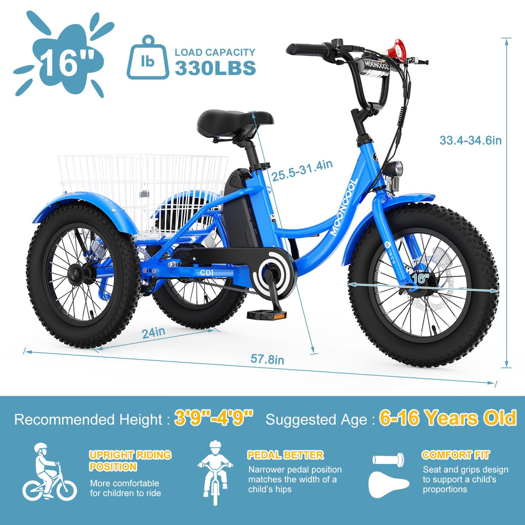16 Inch 250W 24V Blue Electric Tricycle Q5805