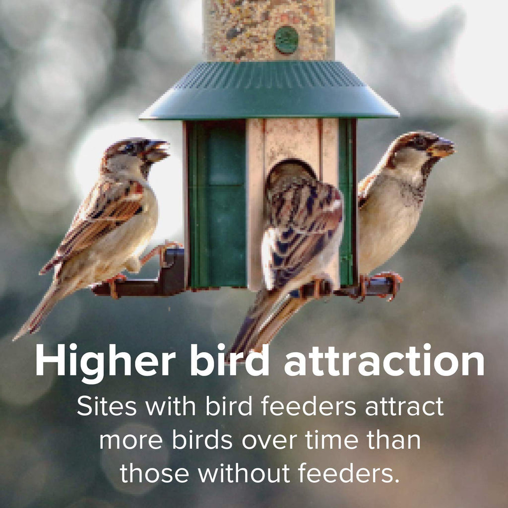 Finch Wild Bird Seed 20lb Bag N242873