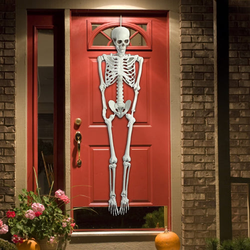 165cm Posable Full Body Skeleton K6099