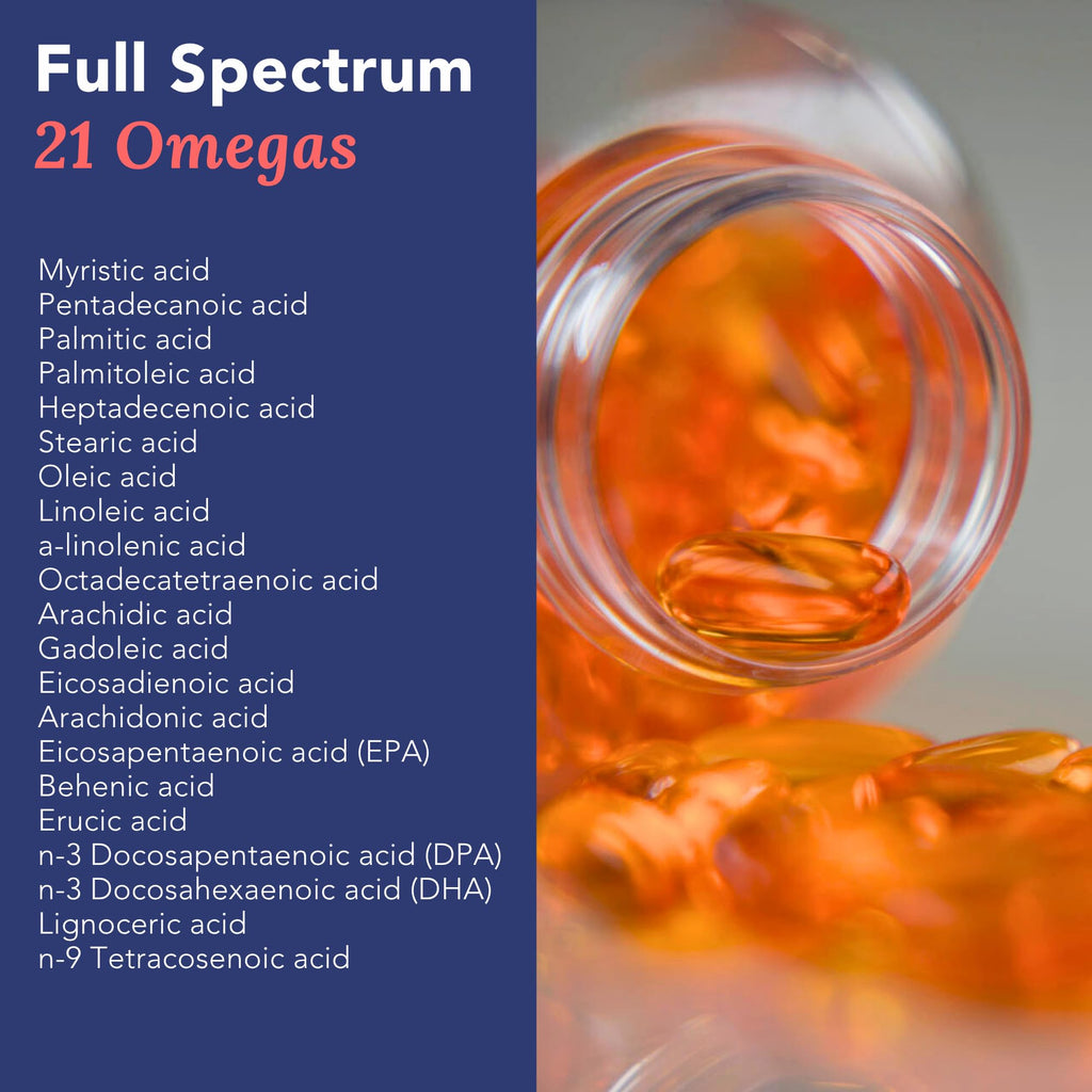 Omega 3 Fish Oil 1000mg 90 Capsules X81920