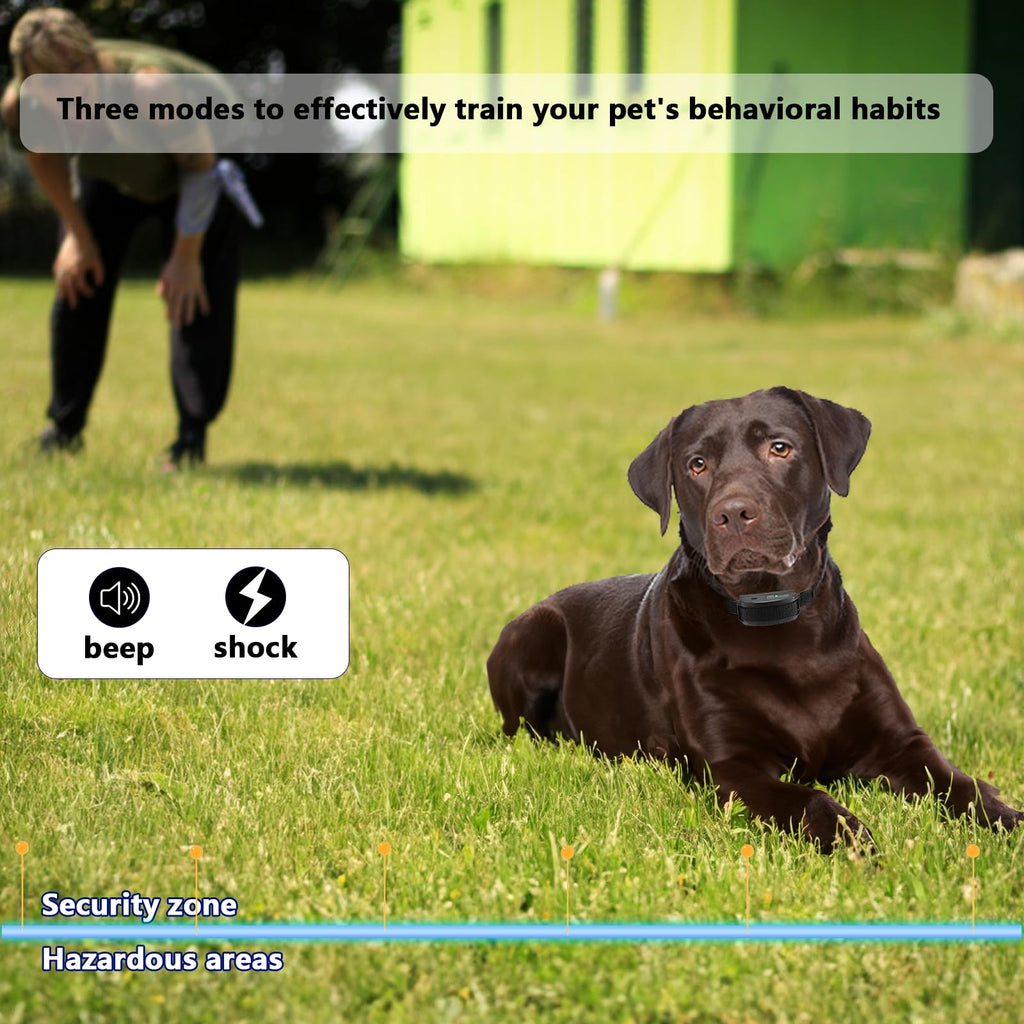 In-Ground Electric Dog Fence System with 2 Collars D8393