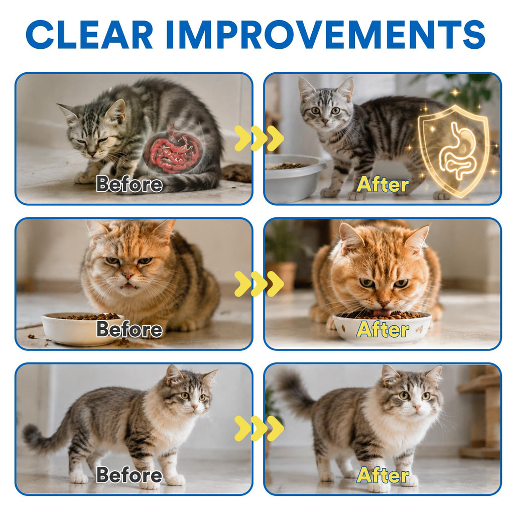 Pyrantel Pamoate Cat Dewormer B878321