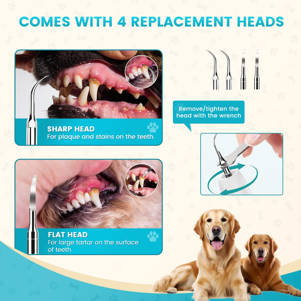 Dog Ultrasonic Tooth Cleaner with LED Light U706