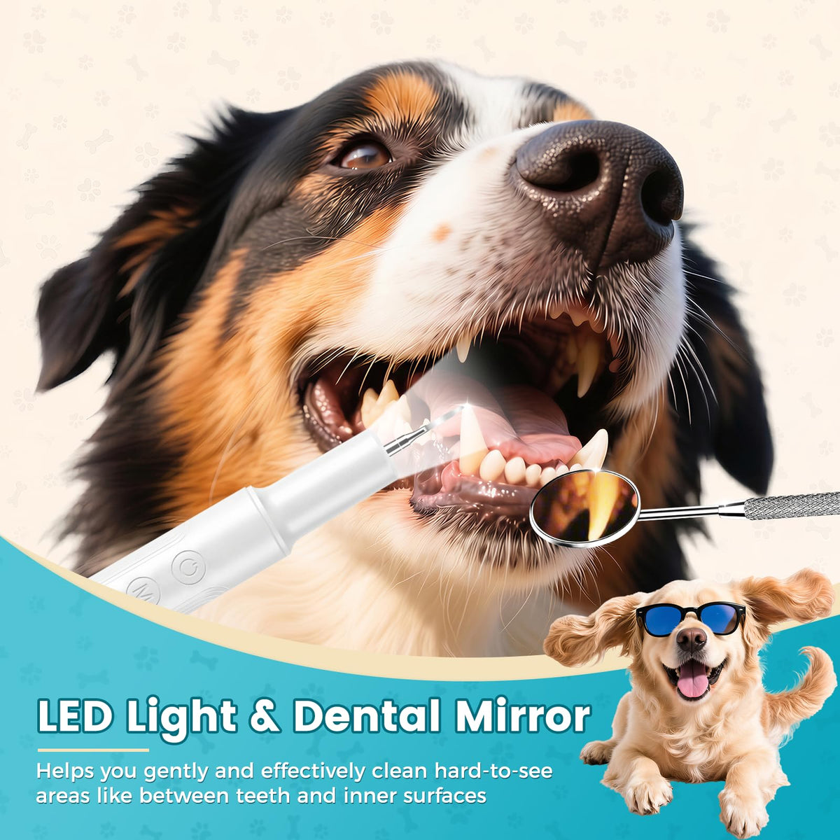 Dog Ultrasonic Tooth Cleaner with LED Light U706