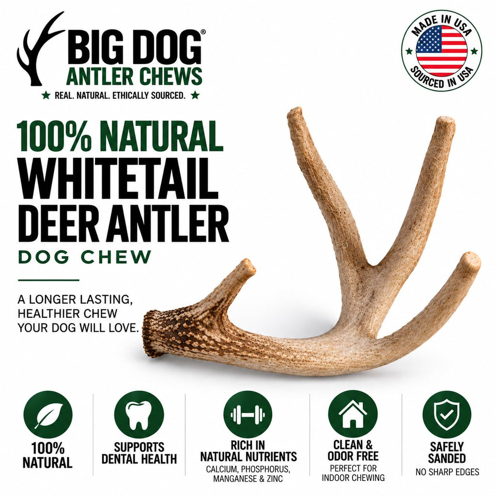 Natural Antler Dog Chew A528381