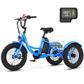 16 Inch 250W 24V Blue Electric Tricycle Q5805