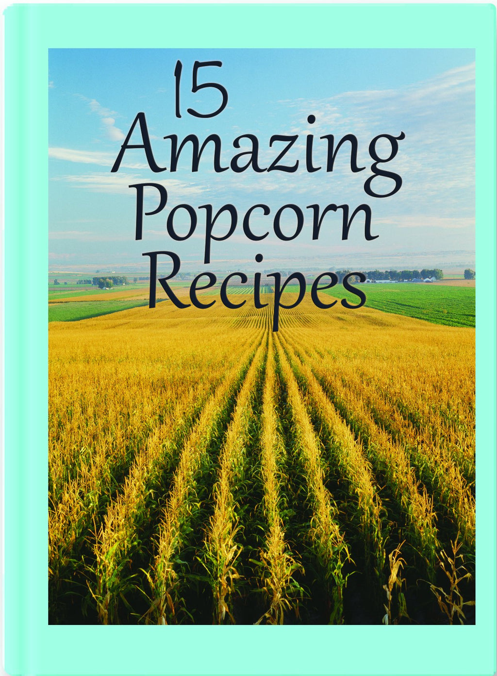 Coconut Oil and Buttery Popcorn Topping G9163