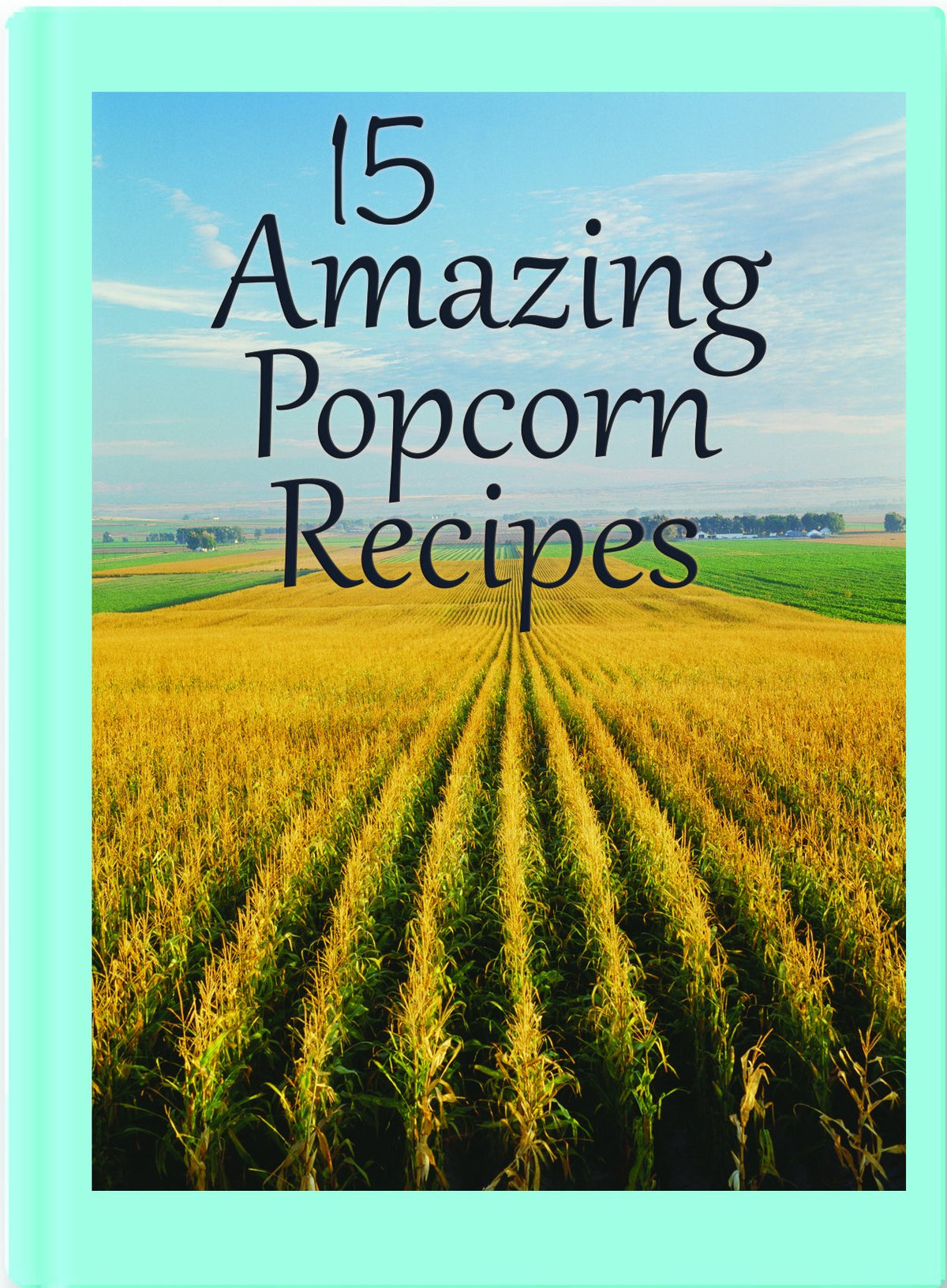 Coconut Oil and Buttery Popcorn Topping G9163