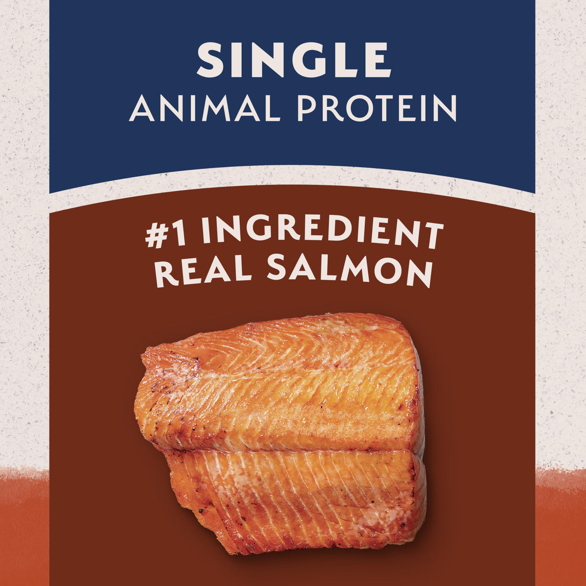 Salmon & Sweet Potato Dog Food 24 lb M952189