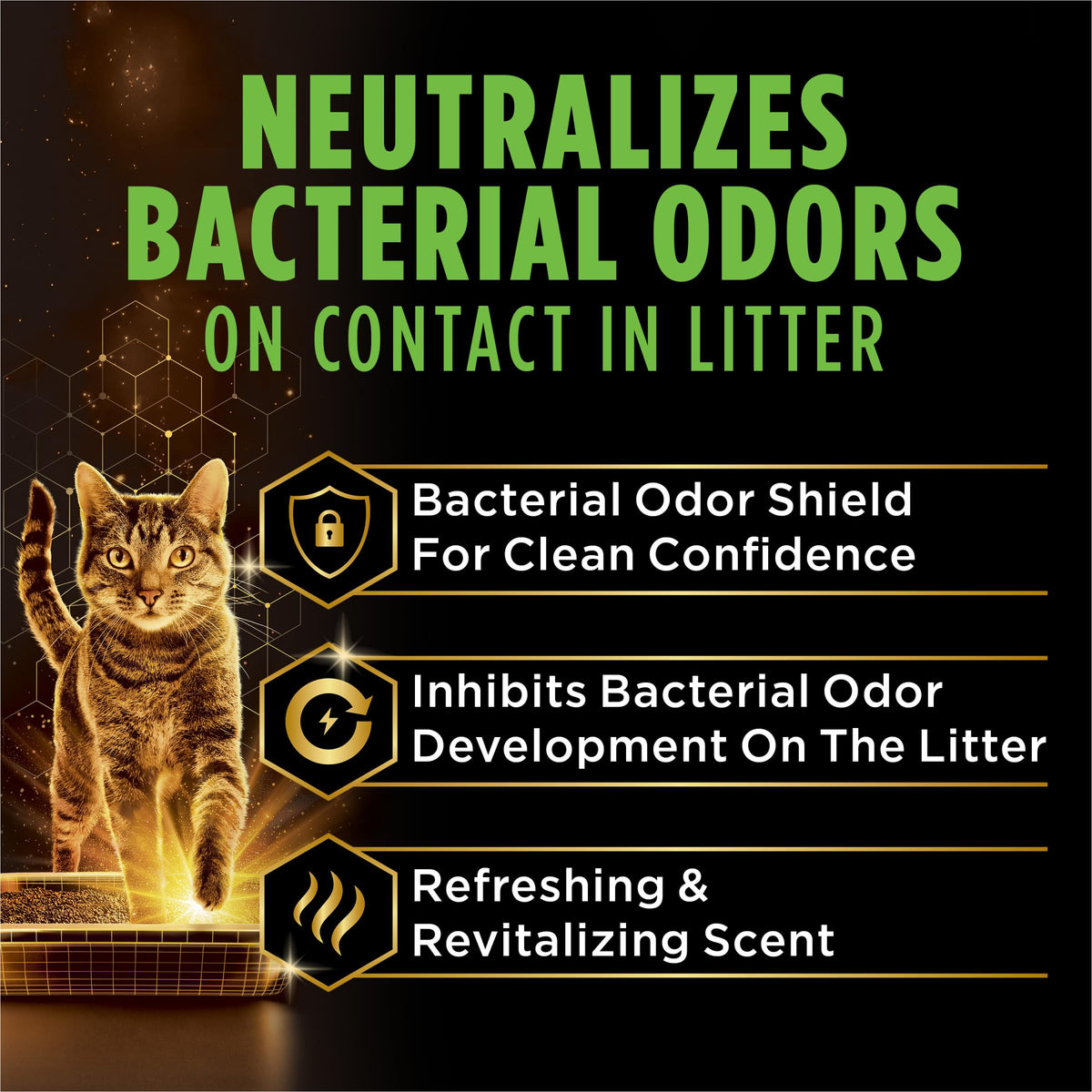 22 lb Cat Litter W7019