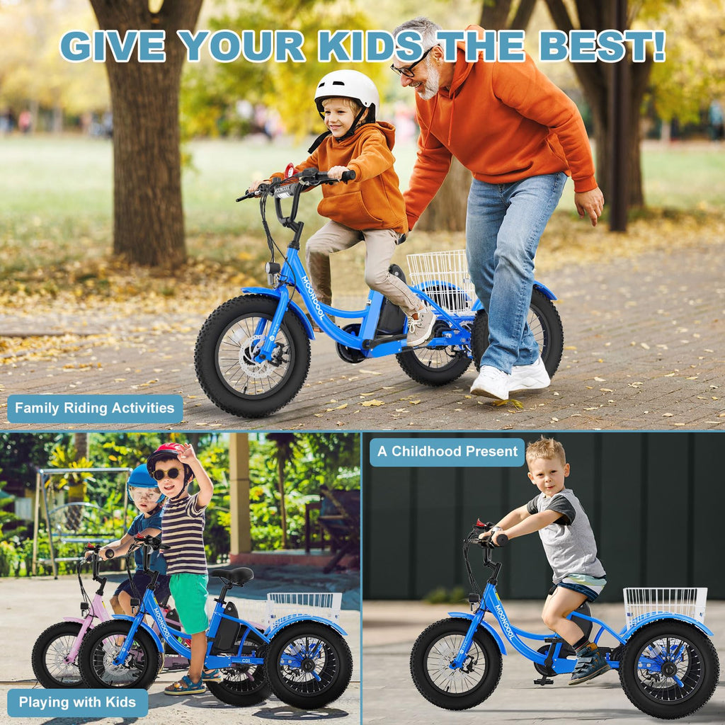 16 Inch 250W 24V Blue Electric Tricycle Q5805