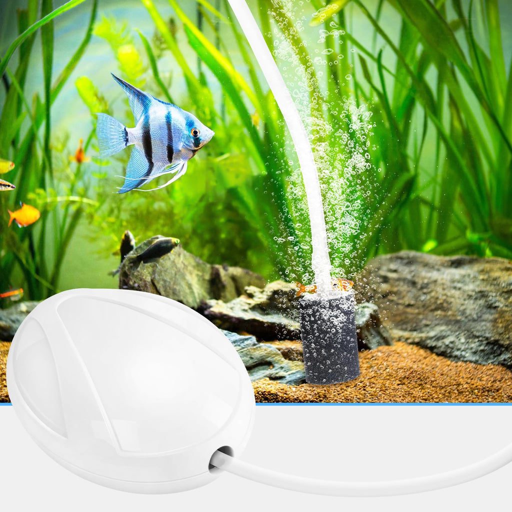 Aquarium Air Pump with Stones, Airline Tubing, Check Valves T19970