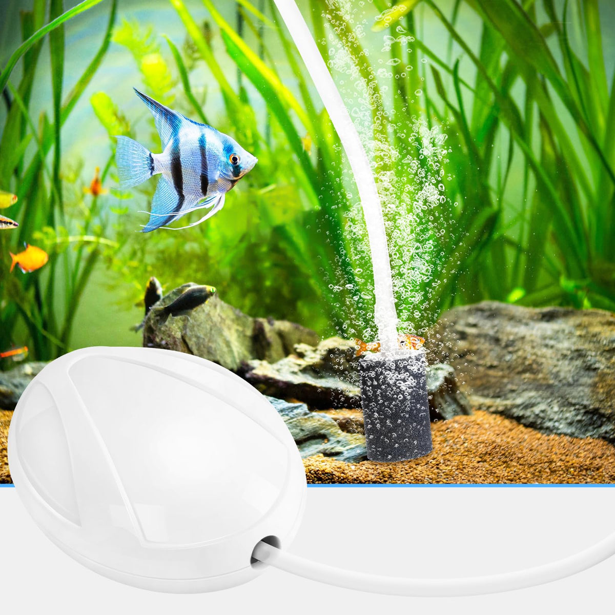 Aquarium Air Pump with Stones, Airline Tubing, Check Valves T19970