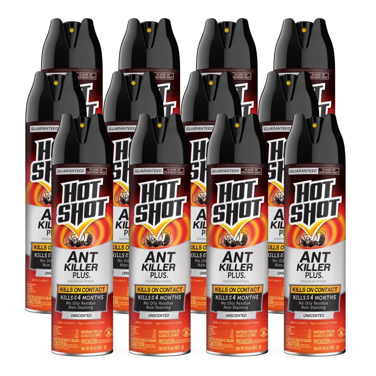Ant Killer Aerosol 16 Oz Unscented 12 Pk K372