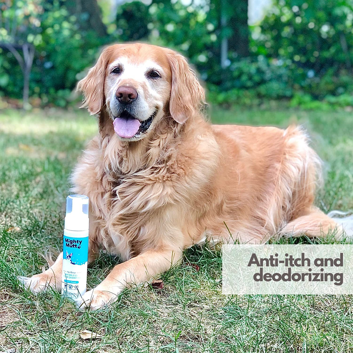 Hypoallergenic Waterless Dog Shampoo 8 fl oz U86663