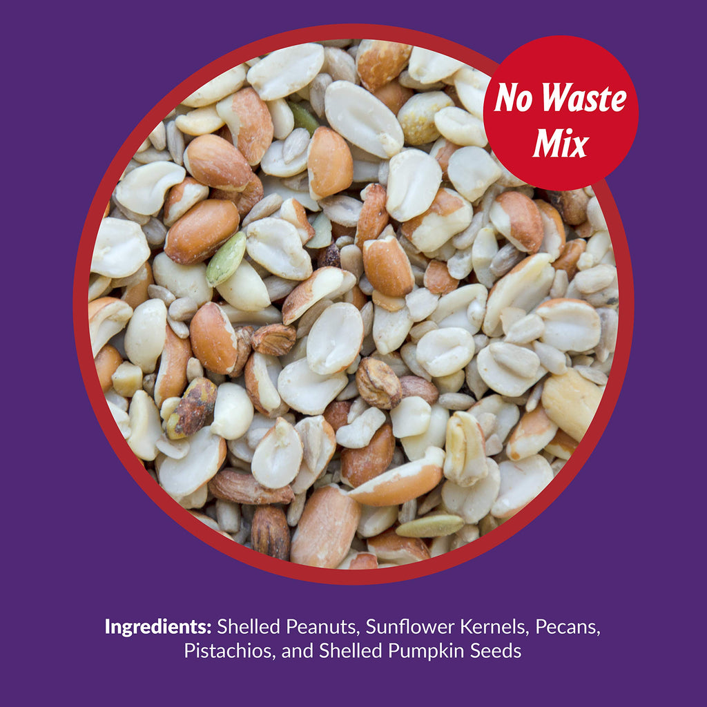 Fruit and Nut Wild Bird Seed Mix 20 lbs S900854