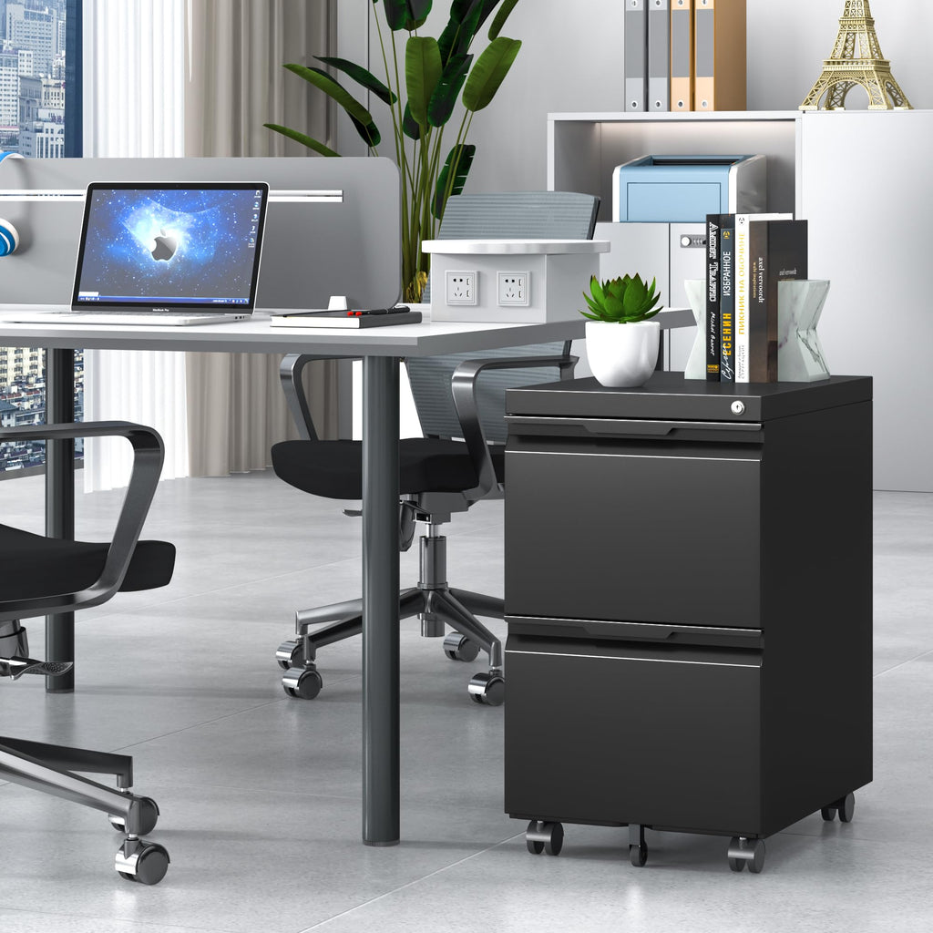 2 Drawer Black File Cabinet with Lock L1283