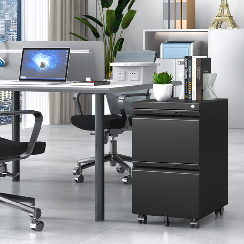 2 Drawer Black File Cabinet with Lock L1283