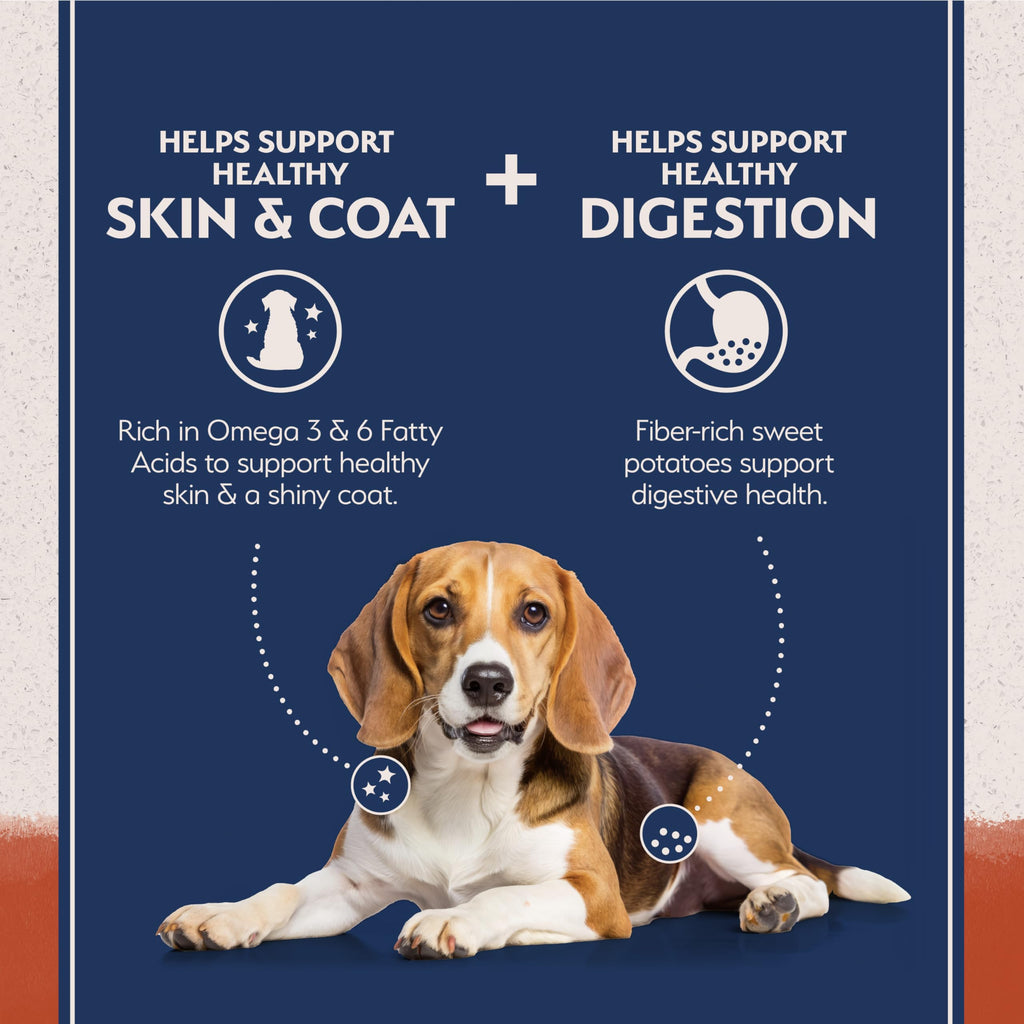 Salmon & Sweet Potato Dog Food 24 lb M952189