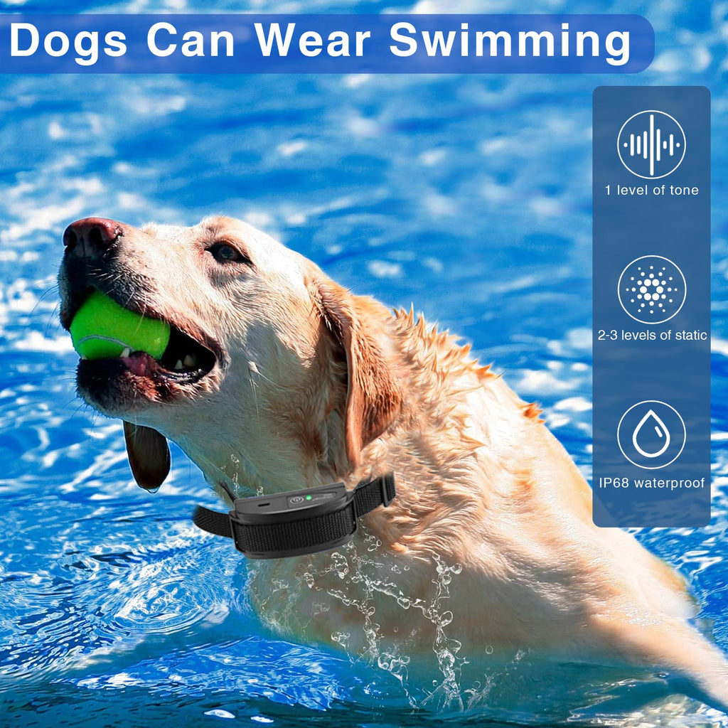 In-Ground Electric Dog Fence System with 2 Collars D8393