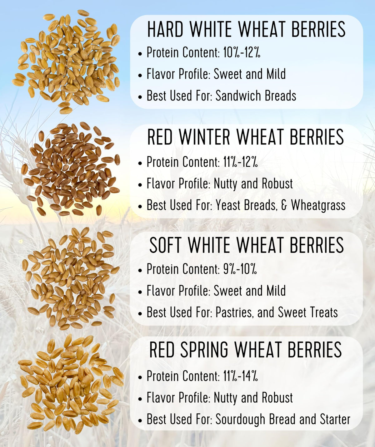 Soft White Wheat Berries 25 LBS Bulk Sproutable Non-GMO Kosher J283