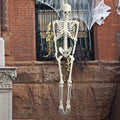 165cm Posable Full Body Skeleton K6099