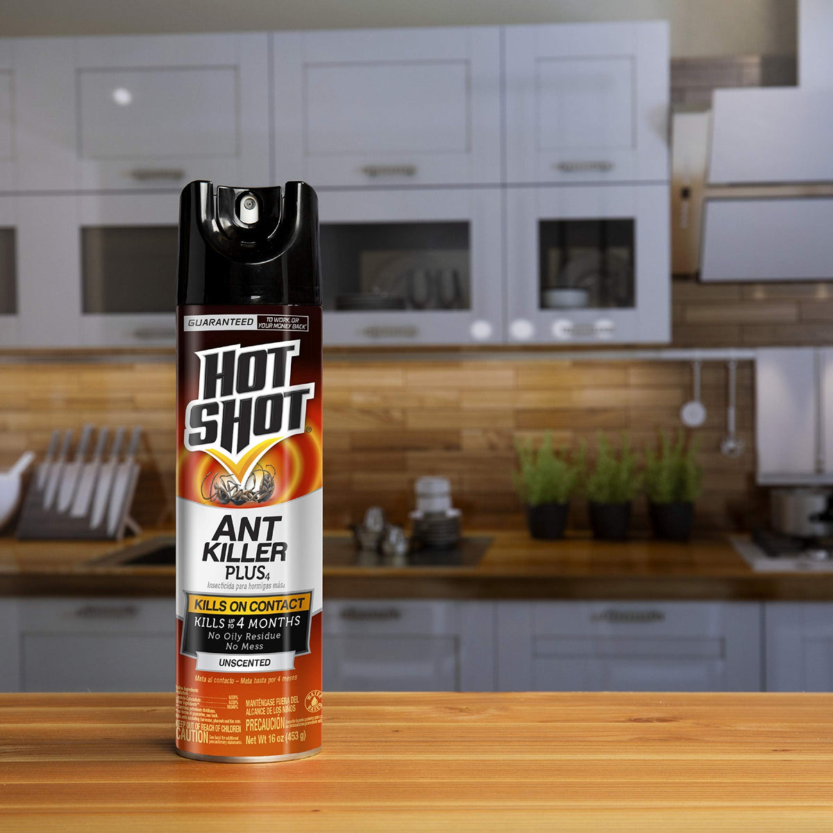 Ant Killer Aerosol 16 Oz Unscented 12 Pk K372