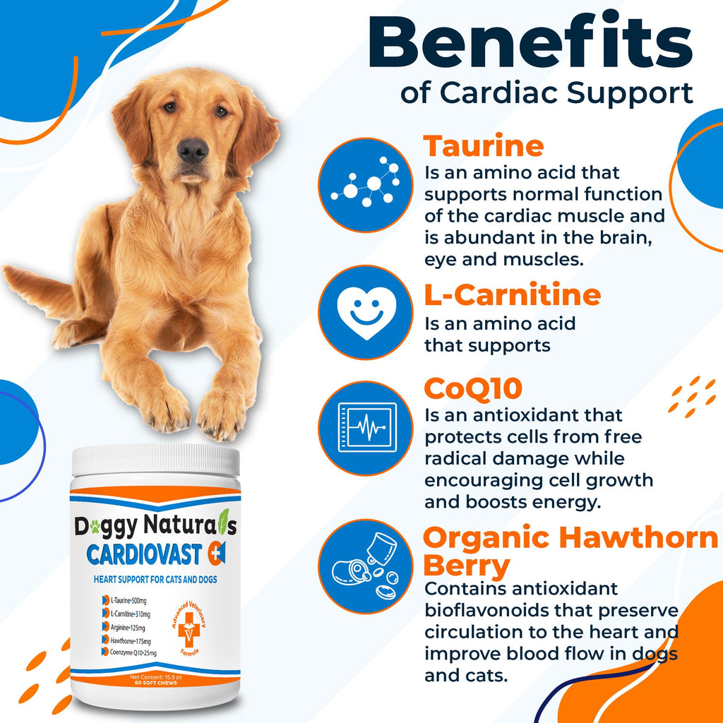 Cardio Support Supplement for Dogs and Cats, 60 Soft Chew C37521