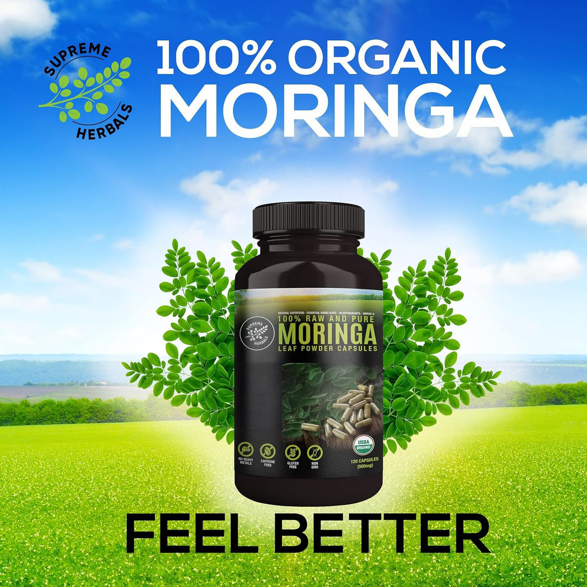 Organic Moringa Leaf Powder Capsules 500mg 120 Capsules H85967