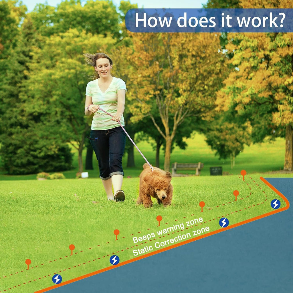 In-Ground Electric Dog Fence System with 2 Collars D8393