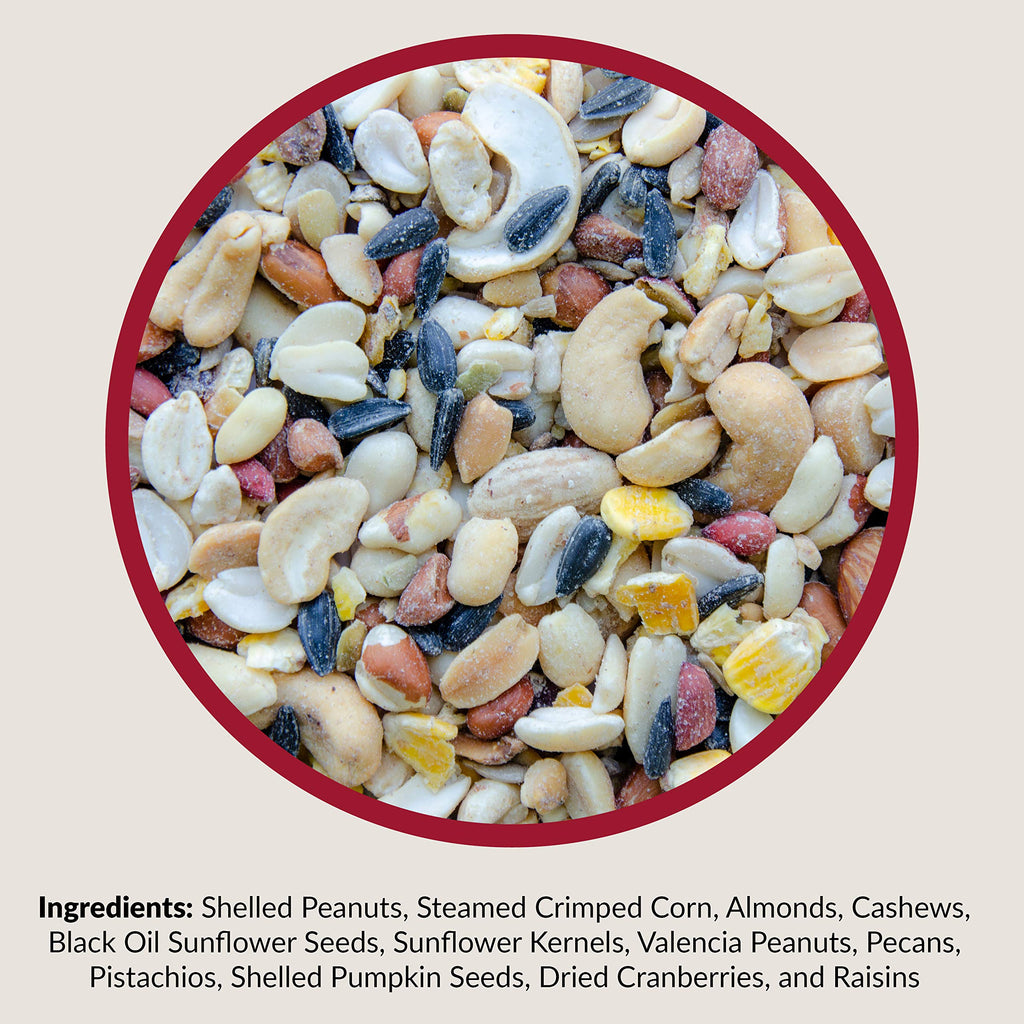 Fruit and Nut Wild Bird Seed Mix 20 lbs S900854